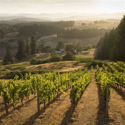 6 Of The Best Wineries In Oregons Willamette Valley