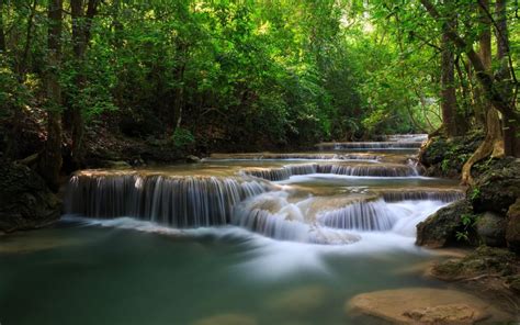 River Waterfall Forest Jungle Timelapse Trees Hd Wallpaper Nature And