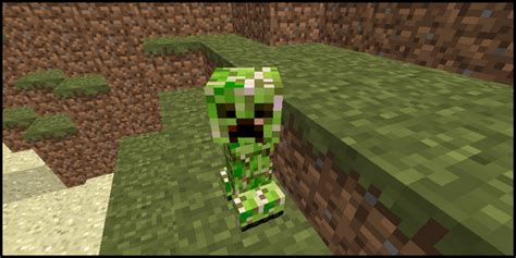 Baby Creepers 1501 Minecraft France