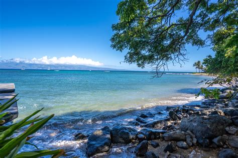 Maui Kahana Reef 217 Myrtle Beach Shores Resort Llc