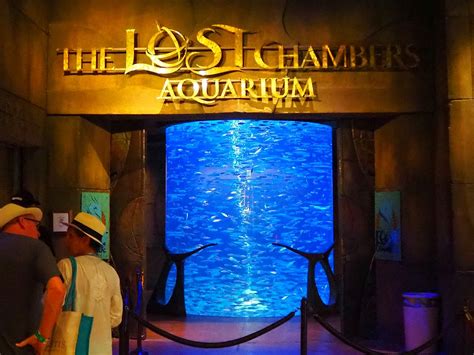 The Lost Chambers Aquarium At Atlantis The Palm Dubai Aquarium Views