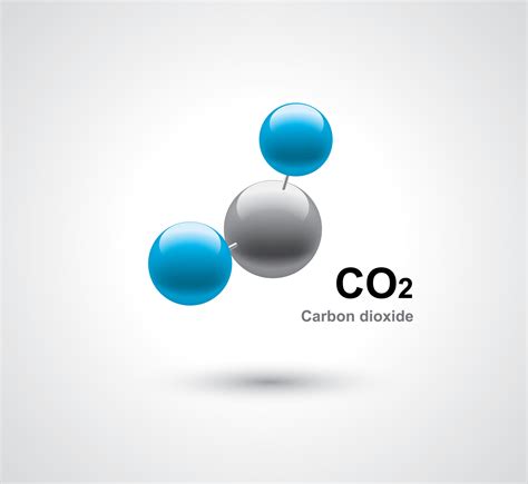 It is slightly soluble in water. Learning About Carbon Storage From Nature - Environmental ...
