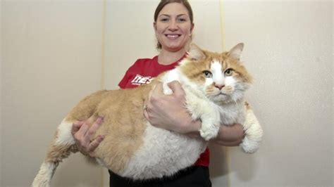 Oh My Gosh Meet The Woman With The Biggest Pussy Photo