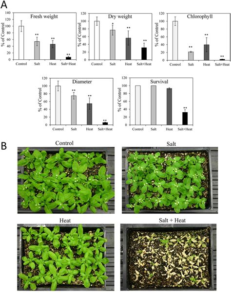 Response Of Arabidopsis Ecotype Ler Plants To Salt Heat And A