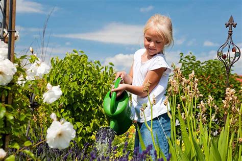 How To Design A Childs Garden Gardeners Path