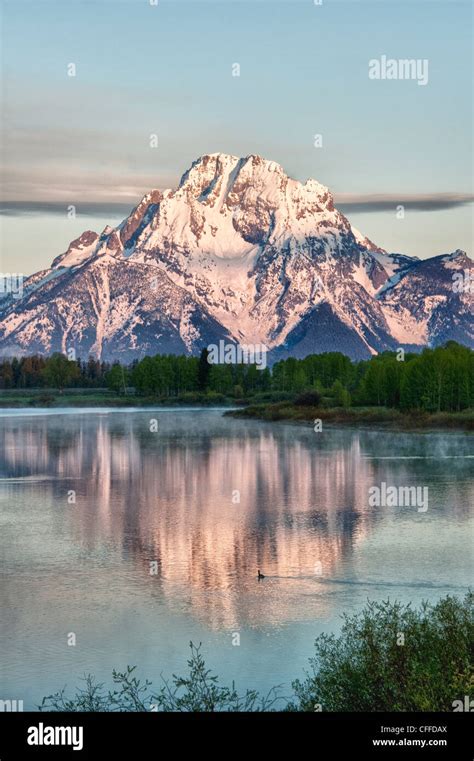 Mount Moran Reflecting The Sunrise Into The Snake River Grand Teton Np