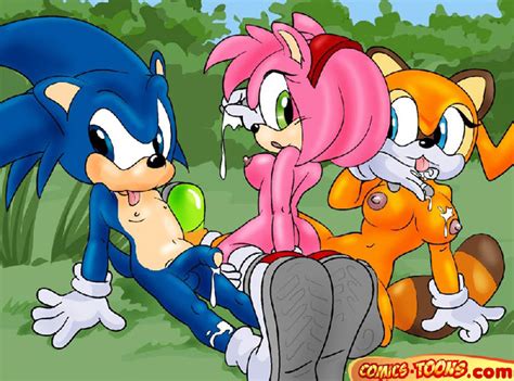 Rule 34 After Sex Amy Rose Anthro Breasts Comics Toons Cum Day Female