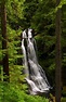 Kentucky Falls Trail | Oregon Wild