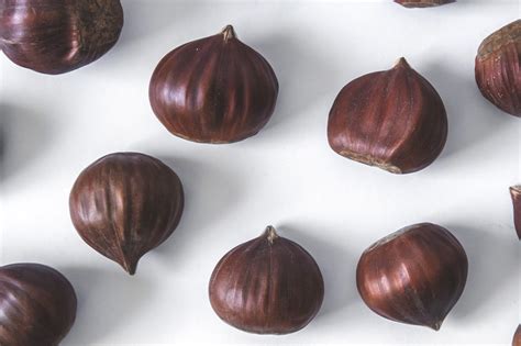 We did not find results for: Castagne e marroni: le differenze | Dissapore