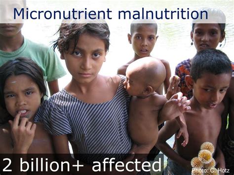 Ppt Biofortification Improving Nutrition Through Agriculture Powerpoint Presentation Id3543596