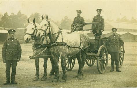 Posts About War Horse Film On Great War Photos War Horse Horses