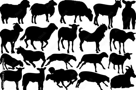 Sheep SVG Cut Files Sheep Silhouette Buck Sheep Svg Cheviot Sheep