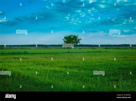 Greenfield Background Hi Res Stock Photography And Images Alamy