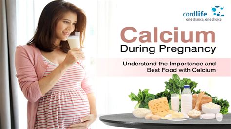 ppt calcium during pregnancy understand the importance and best food with calcium powerpoint