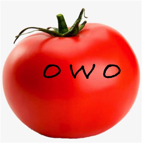 Owo Tomato Single Fruits And Vegetables Transparent Png 1024x1024