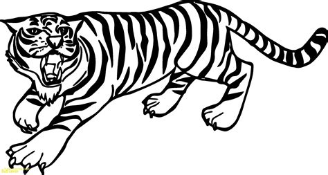 Siberian Tiger Coloring Page At Getcolorings Com Free Printable