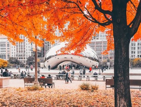 Fall In Chicago Concierge Preferred