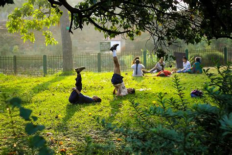 How Is Yoga Beneficial For Treating Mental Illness White Swan Foundation