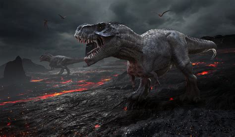 Animal Tyrannosaurus Rex 4k Ultra Hd Wallpaper