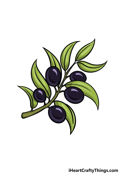 How To Draw An Olive Branch Really Easy Drawing Tutor