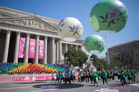National Cherry Blossom Festival Parade Spring Events In Washington
