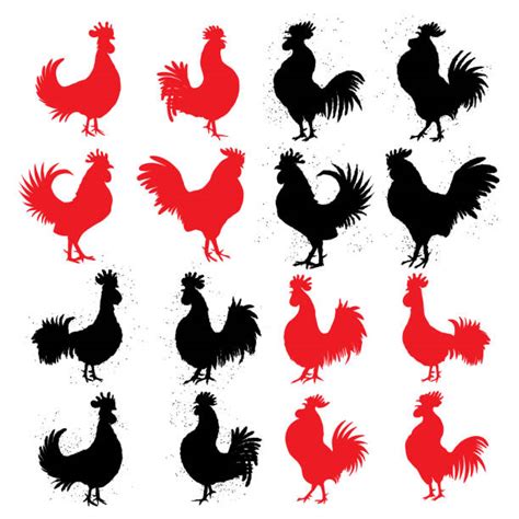 10 Canadian Poultry Industry Stock Illustrations Royalty Free Vector Graphics And Clip Art Istock