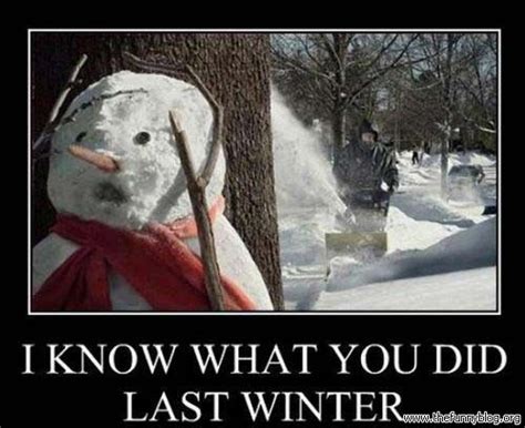 pin by alan lee hunter on holiday memes funny snowman funny snow pictures snowman