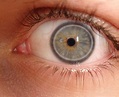 Augendiagnose: 12 Dinge die man an den Augen ablesen kann - Curioctopus.de