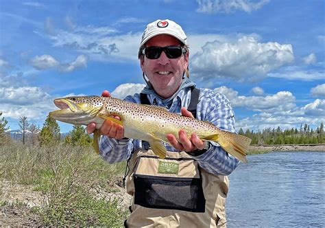 Madison River Brown Trout Yellowstone National Park Worldcast Anglers