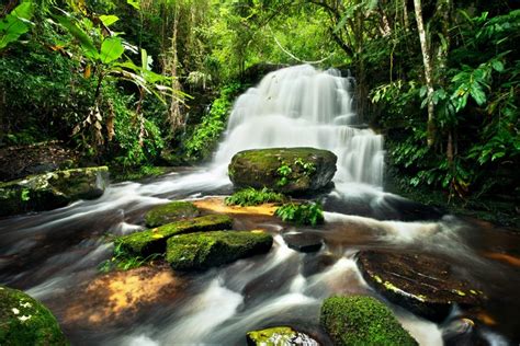 4k Forests Waterfalls Stones Moss Hd Wallpaper Rare Gallery