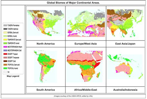6 5 Major Biomes Soil Genesis And Development Lesson 6 Global World Map