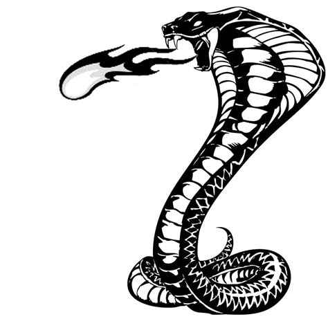 King Cobra Snake Drawing At Getdrawings Free Download