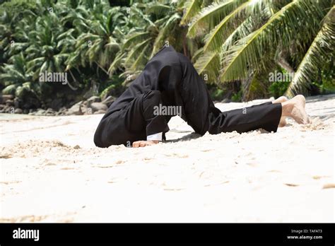 Head In Sand Business High Resolution Stock Photography And Images Alamy