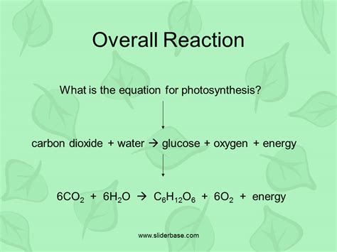 It takes place inside the chloroplasts of plant cells. Photosynthesis & Chloroplasts - Presentation Plants ...