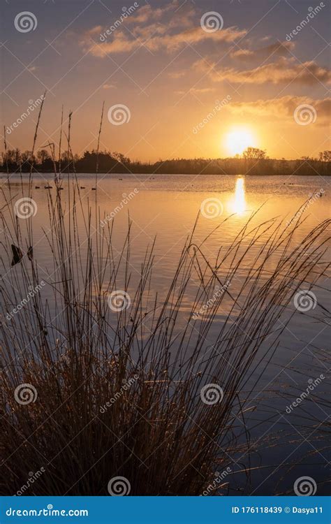 Silhouettes Landscape View Sunset At A Lake Water Reflection Birds In