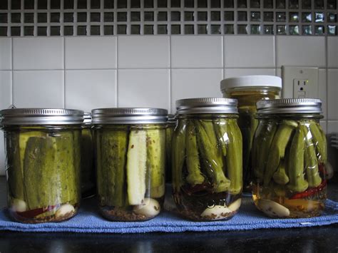 Okra shrink and float when pickled. Spicy Pickled Okra