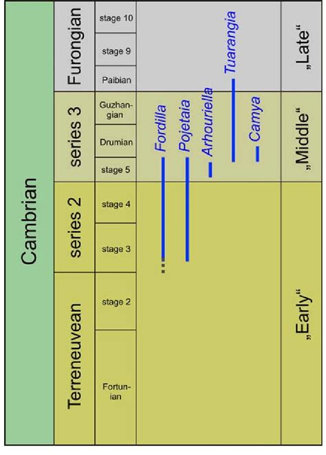 Stratigraphic Range Of Cambrian Bivalves For Discussion See Text