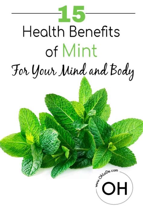 15 Incredible Health Benefits Of Mint For Your Mind And Body Ohlade