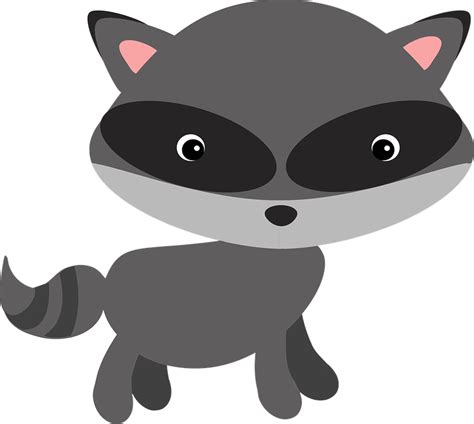 Raccoon Woodland Animal · Free Vector Graphic On Pixabay