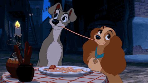 Lady And The Tramp S Find And Share On Giphy