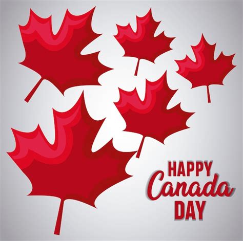 Premium Vector Greeting Card Of Happy Canada Day With Maple Leafs