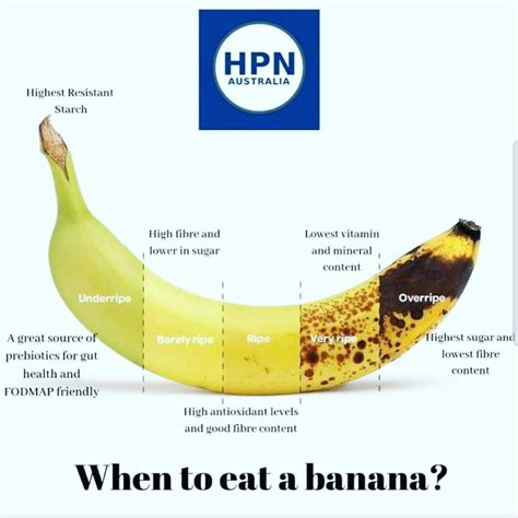 Best Time To Eat Banana Before Or After Meal Banana Poster