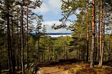 Hyyppäänvuori, Laukaa, Central Finland [OC] 1080x719 • /r/EarthPorn ...
