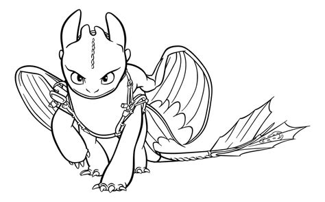 How To Train Your Dragon Toothless Pages Coloring Pages
