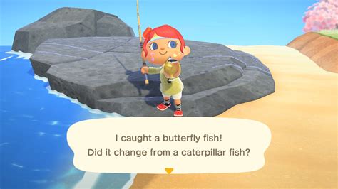 Amazing Animal Crossing Butterfly Fish Of All Time Don T Miss Out