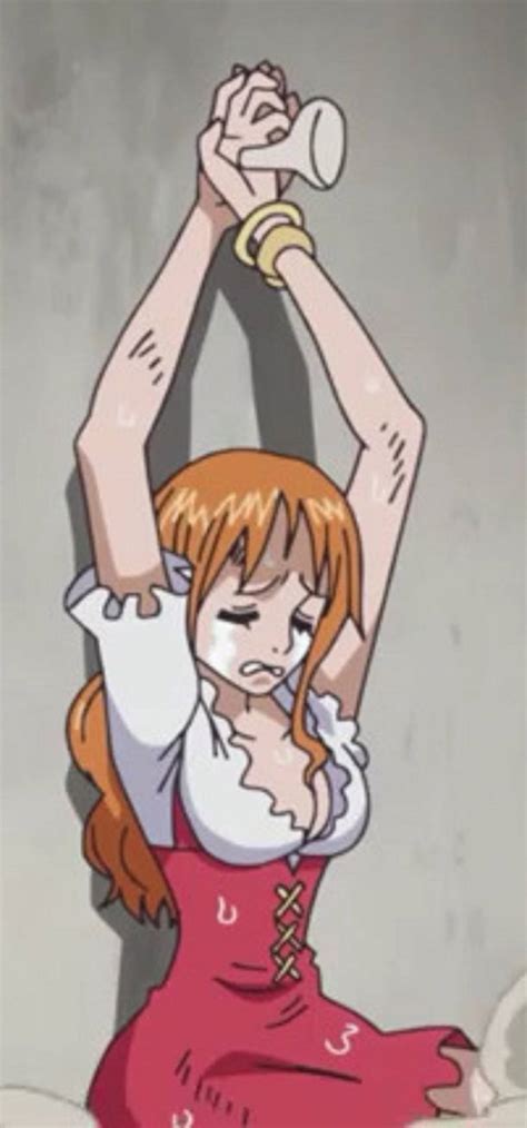 Nami Tied 2 One Piece Episode 817 By Rosesaiyan On Deviantart