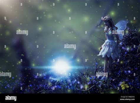 Image Of Magical Little Fairy In The Night Forest Stock Photo Alamy