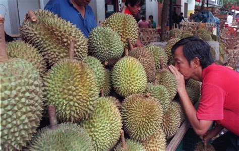 5 Health Benefits Of Eating Durian The King Of Fruits Small Joys