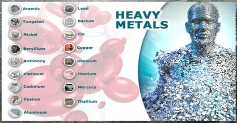 Top 5 Ways To Remove Heavy Metals From Your Body Cancer Awareness Buzz