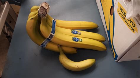 These Bananas With A Regular Banana For Scale Rabsoluteunits